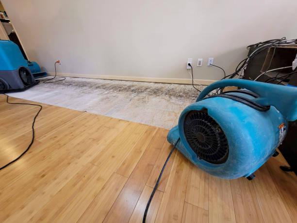 Professional Flood Damage Cleanup technician working in Genoa, IL